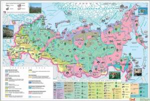 Раскраска природные зоны россии #27 #461156