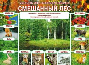Раскраска природные зоны россии #30 #461159
