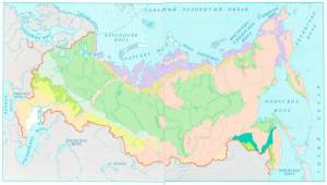 Раскраска природные зоны россии 4 класс окружающий мир #30 #461197