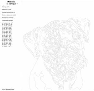 Раскраска программа для создания картин по номерам полная версия #6 #461620