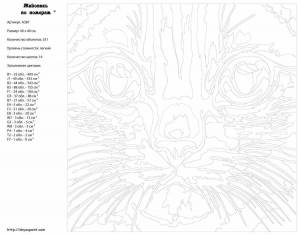 Раскраска программа для создания картин по номерам полная версия #34 #461648