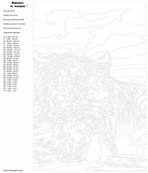 Раскраска программа для создания картин по номерам полная версия #38 #461652