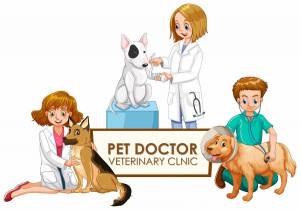 Раскраска профессия ветеринар #9 #463108