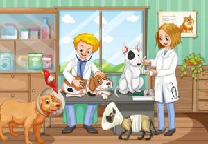 Раскраска профессия ветеринар #33 #463132