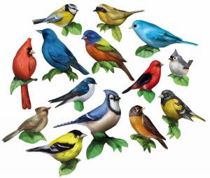Раскраска птицы для детей 5 6 лет #11 #463819