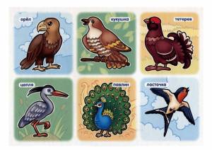 Раскраска птицы для детей 5 6 лет #13 #463821