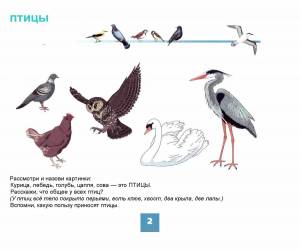 Раскраска птицы для детей 5 6 лет #16 #463824