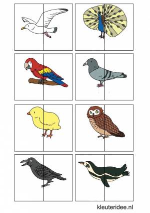 Раскраска птицы для детей 5 6 лет #20 #463828
