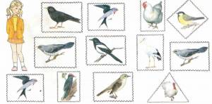 Раскраска птицы для детей 6 7 лет перелетные #30 #463877