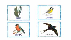 Раскраска птицы для детей 6 7 лет перелетные #33 #463880