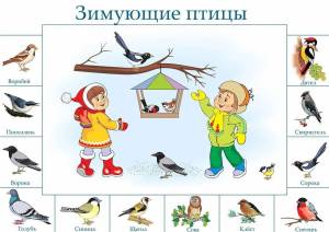 Раскраска птицы зимой для детей #4 #463929