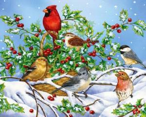 Раскраска птицы зимой для детей #7 #463932