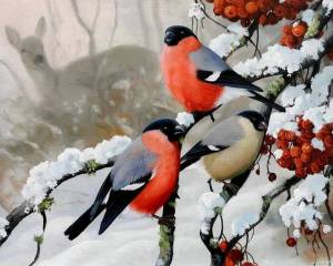 Раскраска птицы зимой для детей #10 #463935