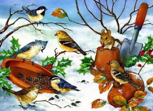 Раскраска птицы зимой для детей #11 #463936