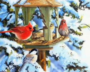 Раскраска птицы зимой для детей #12 #463937