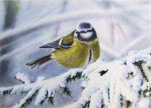 Раскраска птицы зимой для детей #19 #463944