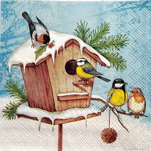 Раскраска птицы зимой для детей #23 #463948