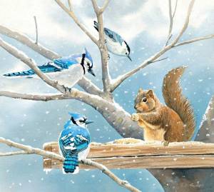 Раскраска птицы зимой для детей #25 #463950