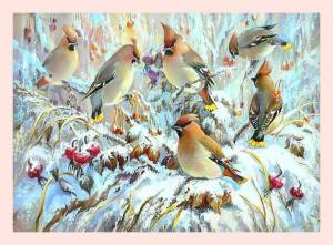 Раскраска птицы зимой для детей #26 #463951