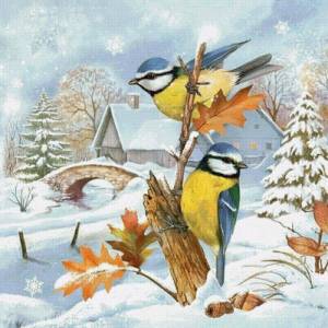 Раскраска птицы зимой для детей #33 #463958