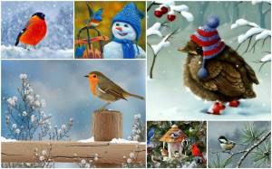 Раскраска птицы зимой для детей #37 #463962