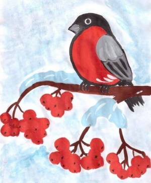 Раскраска птицы зимой для детей 3 4 лет #4 #463967