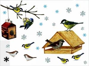 Раскраска птицы зимой для детей 3 4 лет #6 #463969