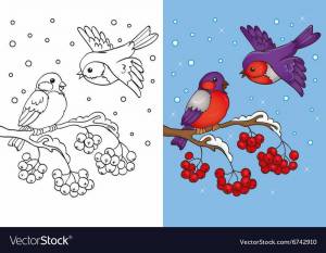 Раскраска птицы зимой для детей 3 4 лет #8 #463971