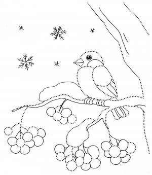 Раскраска птицы зимой для детей 3 4 лет #28 #463991