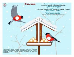 Раскраска птицы зимой для детей 3 4 лет #37 #464000