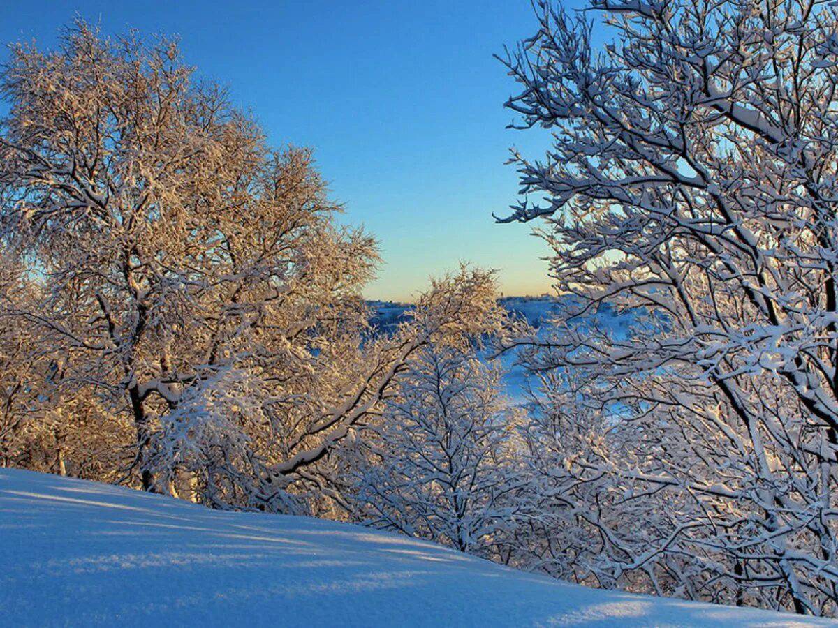 Зима. Природа зима. Зима фото. Зимние фото. Картинки на рабочий стол зима природа.