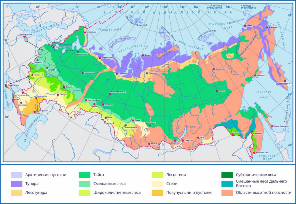 Природные зоны россии #26