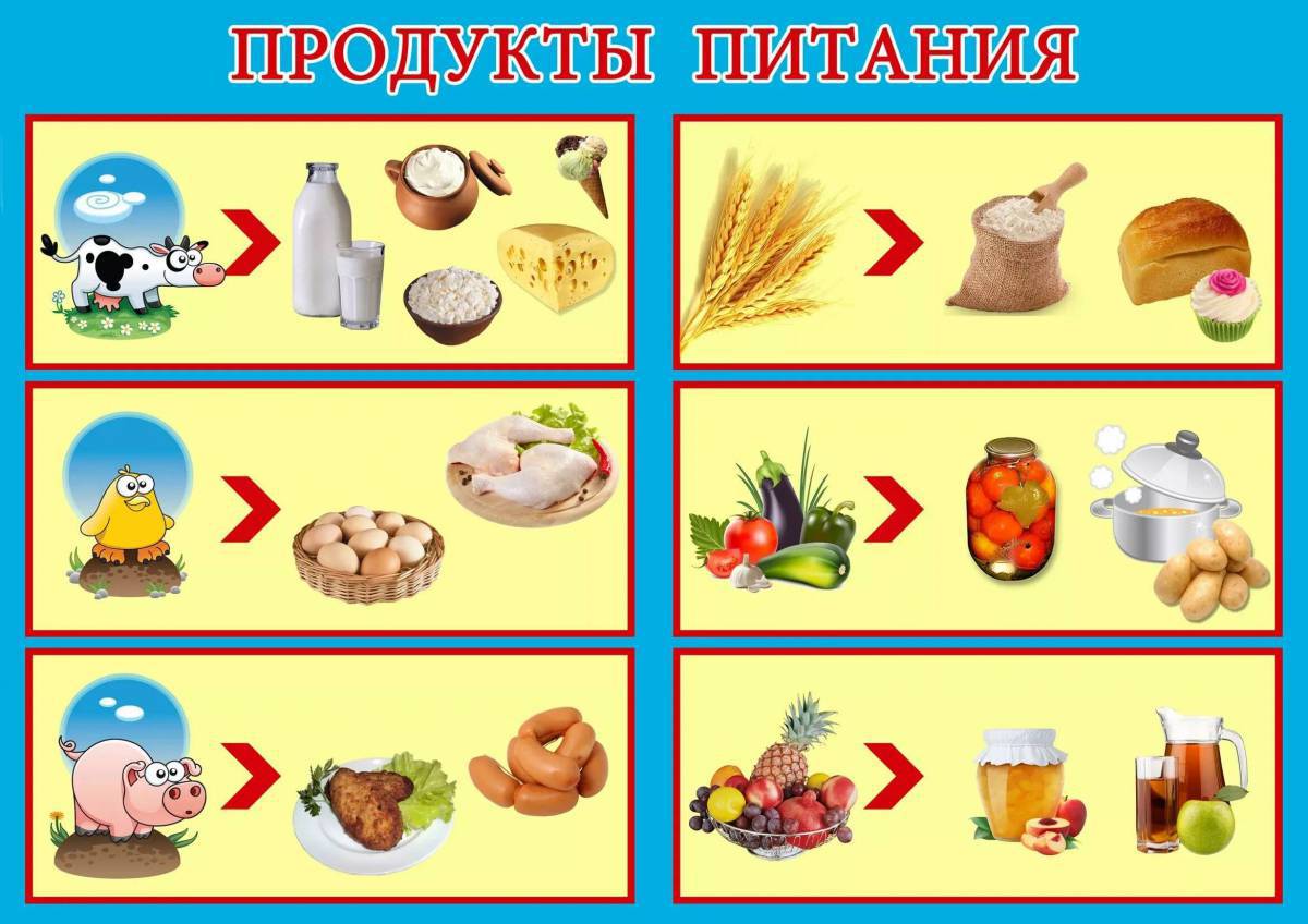 Продукты питания для детей 6 7 лет для детей логогруппы #11