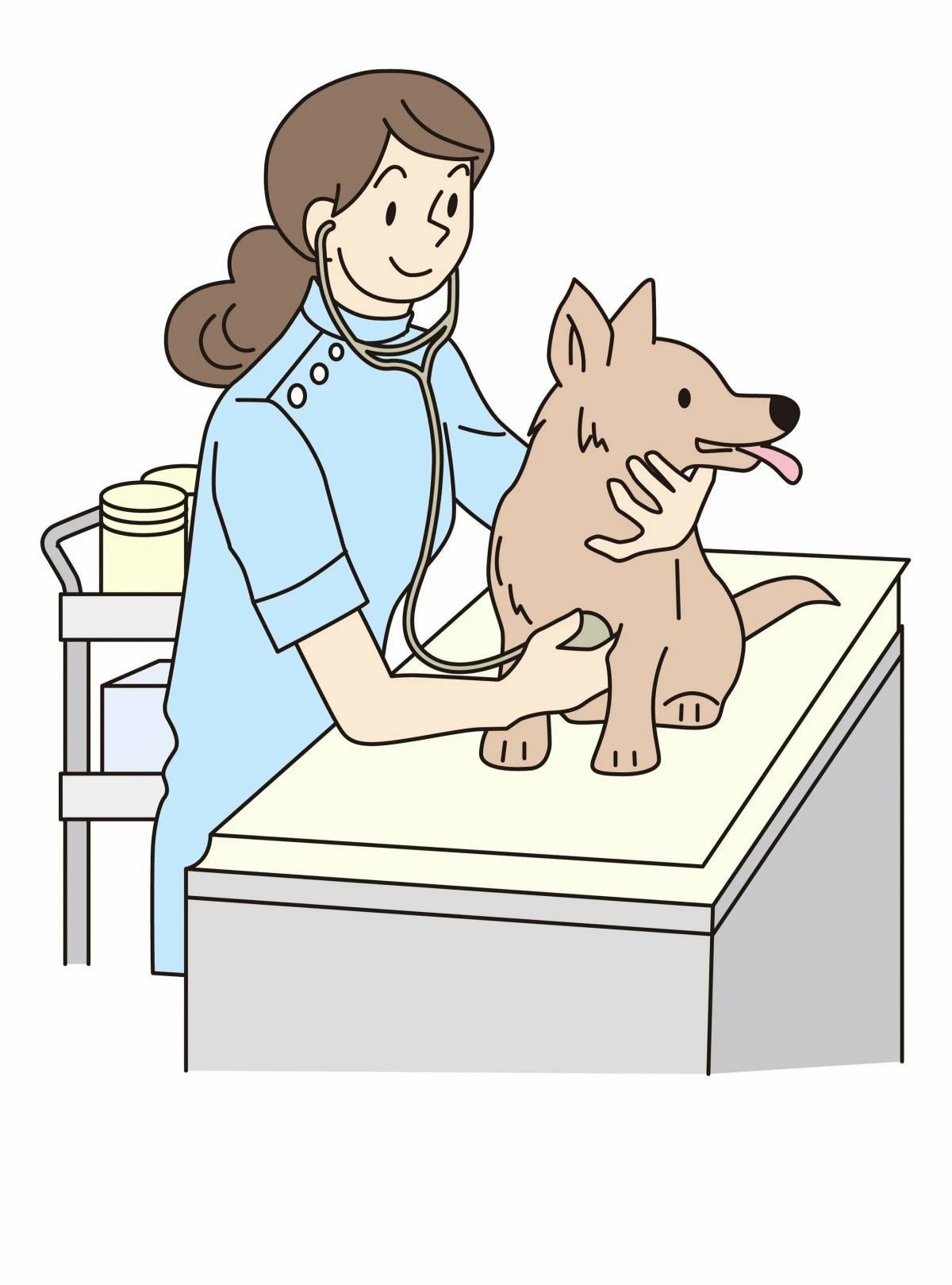 Профессия ветеринар #37