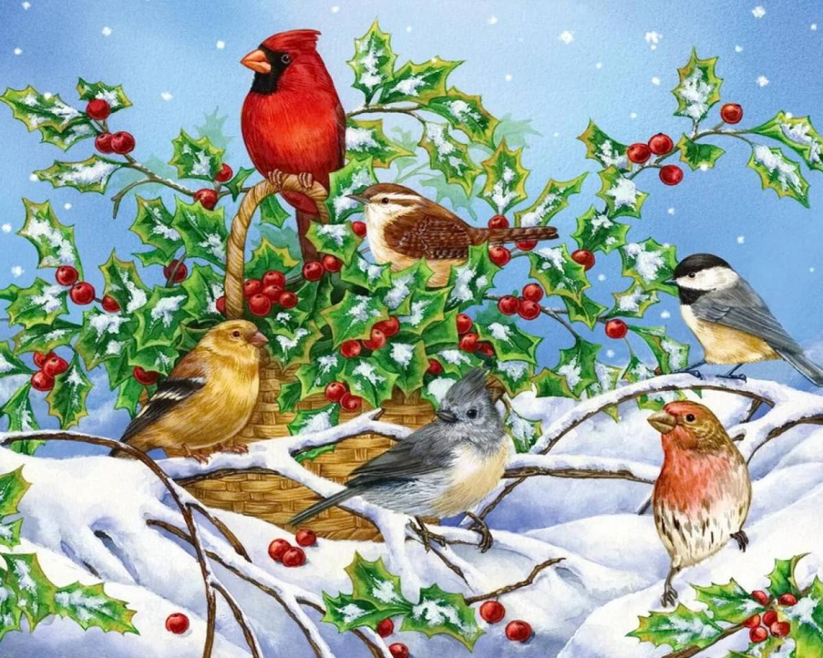 Птицы зимой для детей #7