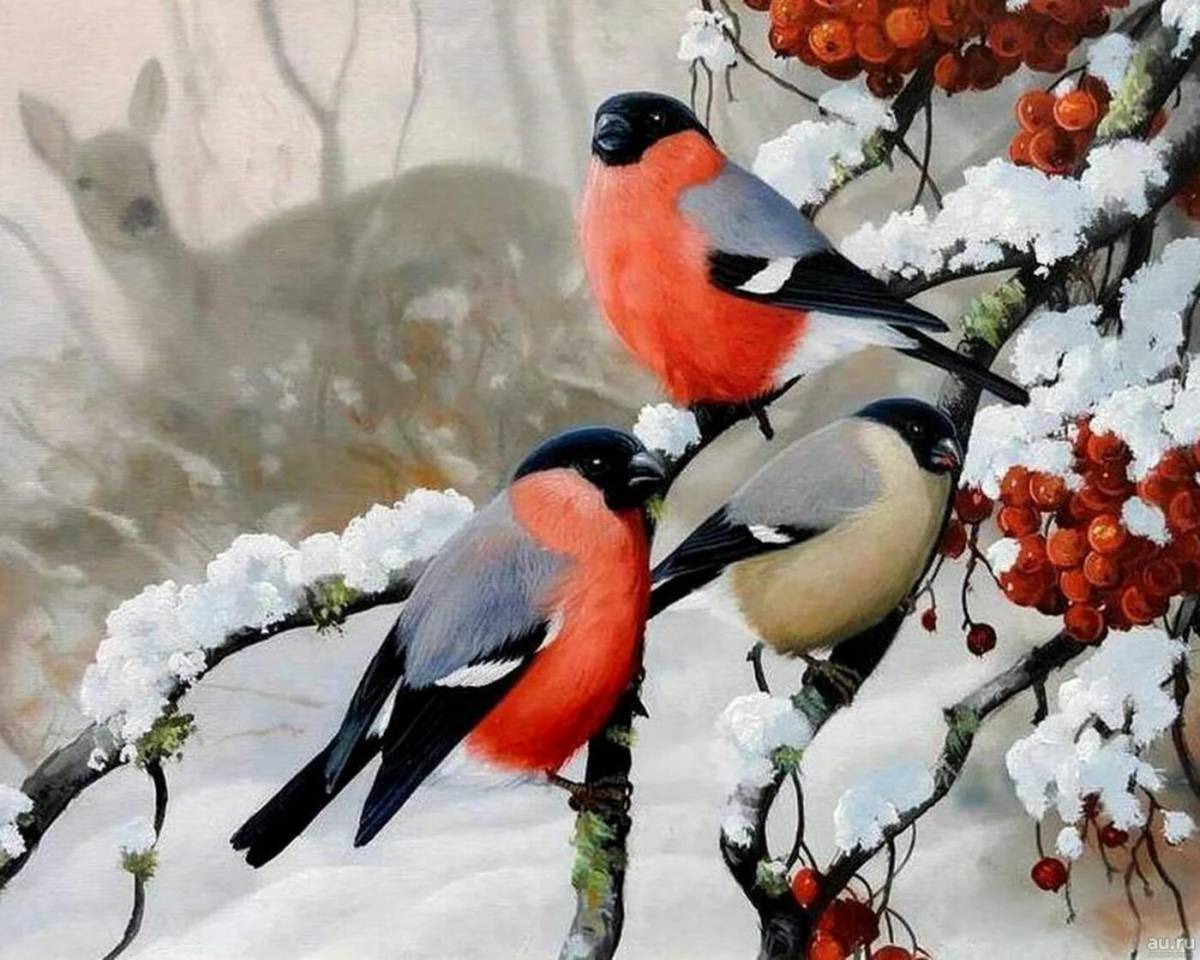 Птицы зимой для детей #10