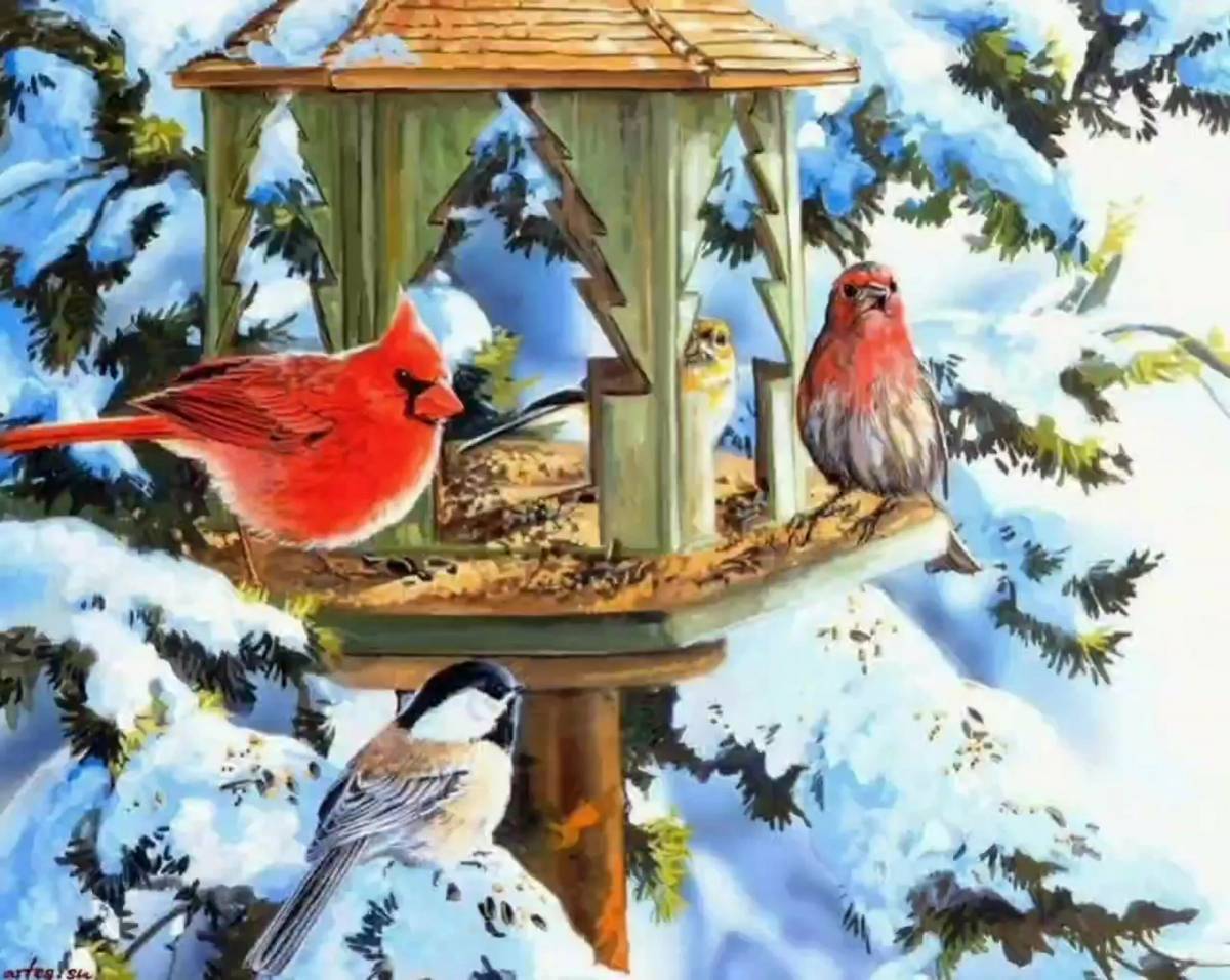 Птицы зимой для детей #12