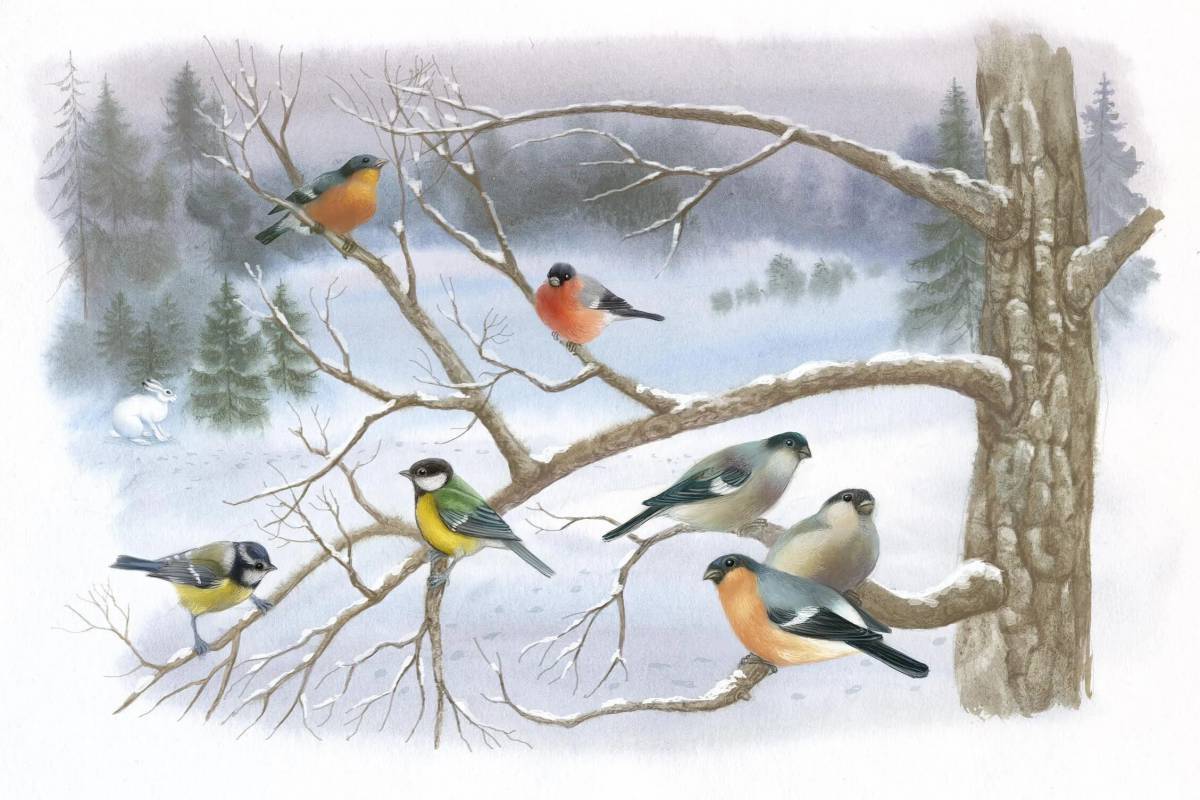 Птицы зимой для детей #36
