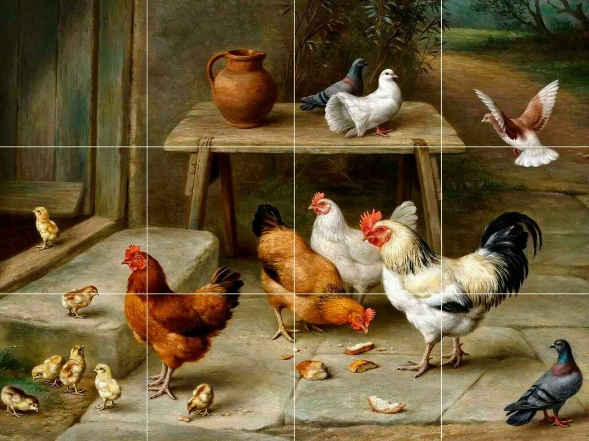 Домашний птичий двор. Домашний птичий двор. Куры и голуби. «птичий двор» даниэля шульца. Картина птичий двор.