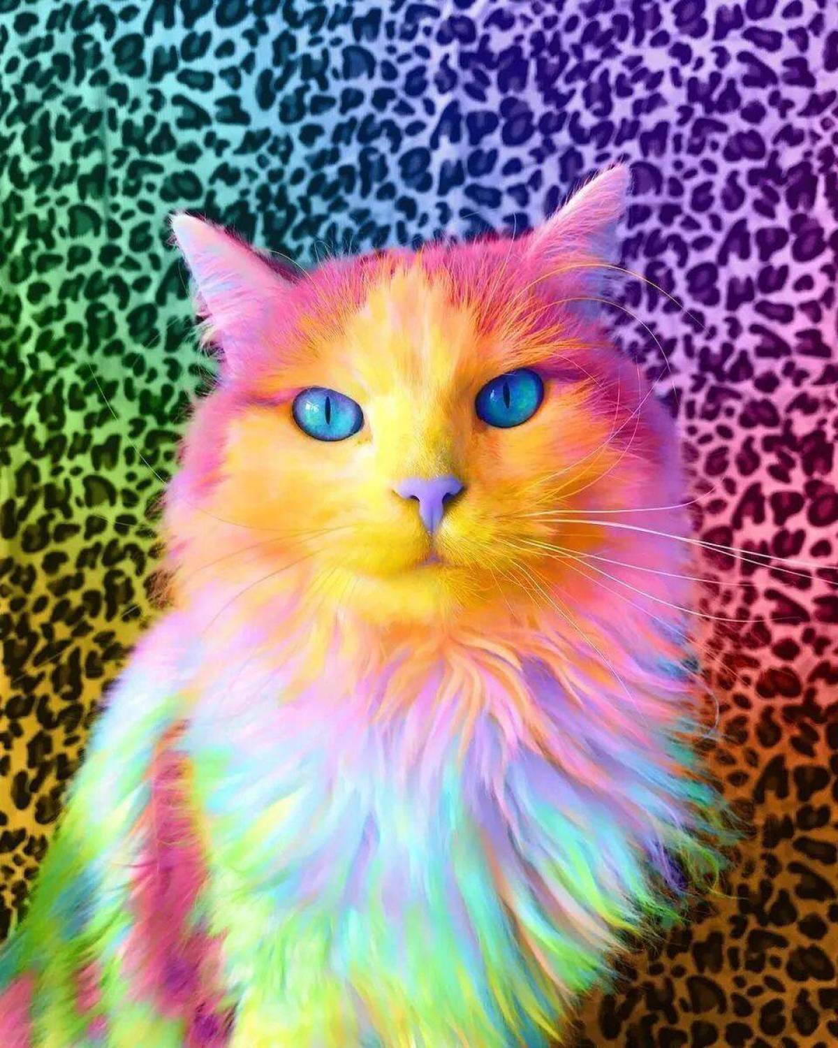 Цветные картинки кошек. Разноцветная кошка. Радужная кошка. Радужный котэ. Радужные котенки.