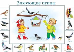 Раскраска птицы зимой для детей 6 7 лет #2 #464002