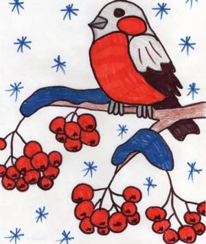 Раскраска птицы зимой для детей 6 7 лет #11 #464011