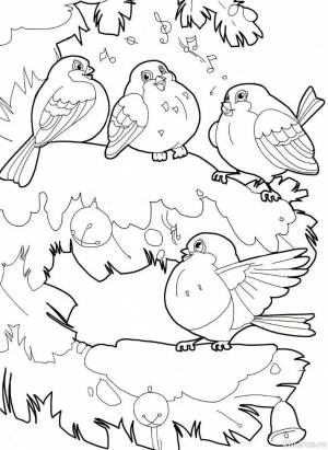 Раскраска птицы зимой для детей 6 7 лет #17 #464017