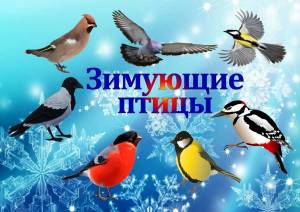 Раскраска птицы зимой для детей 6 7 лет #22 #464022