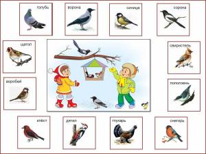 Раскраска птицы зимой для детей 6 7 лет #34 #464034