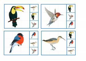 Раскраска птицы перелетные для детей #32 #464148