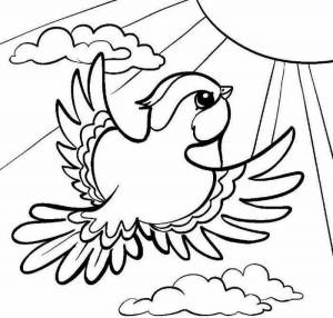 Раскраска птичка для детей 5 6 лет #4 #464304