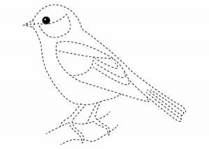 Раскраска птичка для детей 5 6 лет #20 #464320