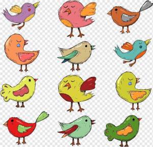 Раскраска птички для детей 4 5 лет #2 #464462
