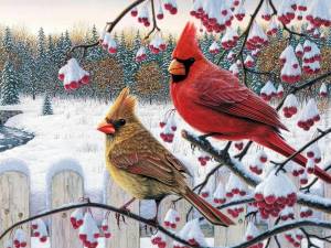 Раскраска птички зимние #6 #464505